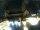 Webcam in Mainz, 10 mi away
