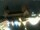 Webcam in Mainz, 7.3 mi away
