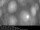 Webcam in Herlev, 33.8 mi away