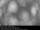 Webcam in Herlev, 11.7 mi away