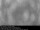 Webcam in Herlev, 33.8 mi away