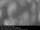 Webcam in Herlev, 4.2 mi away