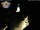 Webcam in Greußen, 38.9 km entfernt