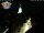 Webcam in Greußen, 11.6 mi away