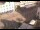 Webcam in Eichstätt, 41.4 km entfernt