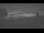 Webcam in Langeneß, 8.5 km