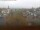 Webcam in Arnbruck, 20.5 km entfernt