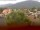Webcam in Arnbruck, 6.3 mi away