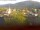 Webcam in Arnbruck, 8.8 mi away