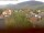 Webcam in Arnbruck, 11 mi away