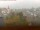 Webcam in Arnbruck, 5.3 mi away