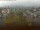 Webcam in Arnbruck, 4 mi away