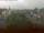 Webcam in Arnbruck, 8.8 mi away