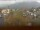 Webcam in Arnbruck, 11 mi away