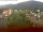 Webcam in Arnbruck, 13.4 mi away