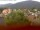 Webcam in Arnbruck, 1.2 mi away