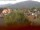 Webcam in Arnbruck, 4 mi away
