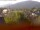 Webcam in Arnbruck, 28.4 km