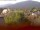 Webcam in Arnbruck, 5.3 mi away