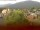 Webcam in Arnbruck, 4 km