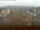 Webcam in Arnbruck, 5.6 mi away