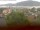 Webcam in Arnbruck, 1.2 mi away