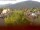 Webcam in Arnbruck, 21.6 km