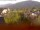 Webcam in Arnbruck, 3 km