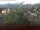 Webcam in Arnbruck, 10.3 km