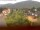 Webcam in Arnbruck, 22.8 km