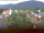 Webcam in Arnbruck, 3.9 mi away