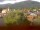 Webcam in Arnbruck, 16.3 km