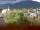 Webcam in Arnbruck, 3 km entfernt