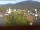 Webcam in Arnbruck, 4 km