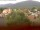 Webcam in Arnbruck, 10.1 mi away