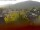 Webcam in Arnbruck, 30.6 km