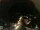 Webcam in Laggio di Cadore, 43.6 km entfernt