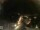 Webcam in Laggio di Cadore, 48.1 km