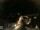 Webcam in Laggio di Cadore, 48.1 km entfernt