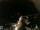 Webcam in Laggio di Cadore, 16.7 mi away