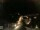 Webcam in Laggio di Cadore, 2.7 mi away