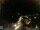 Webcam in Laggio di Cadore, 6.9 km entfernt
