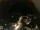Webcam in Laggio di Cadore, 43.6 km entfernt