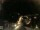 Webcam in Laggio di Cadore, 15.5 mi away