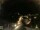 Webcam in Laggio di Cadore, 43.6 km