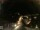 Webcam in Laggio di Cadore, 3.4 mi away