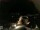 Webcam in Laggio di Cadore, 43.6 km entfernt