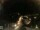 Webcam in Laggio di Cadore, 18.9 km
