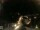 Webcam in Laggio di Cadore, 18.9 km