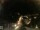Webcam in Laggio di Cadore, 44.5 km